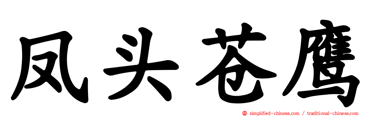 凤头苍鹰