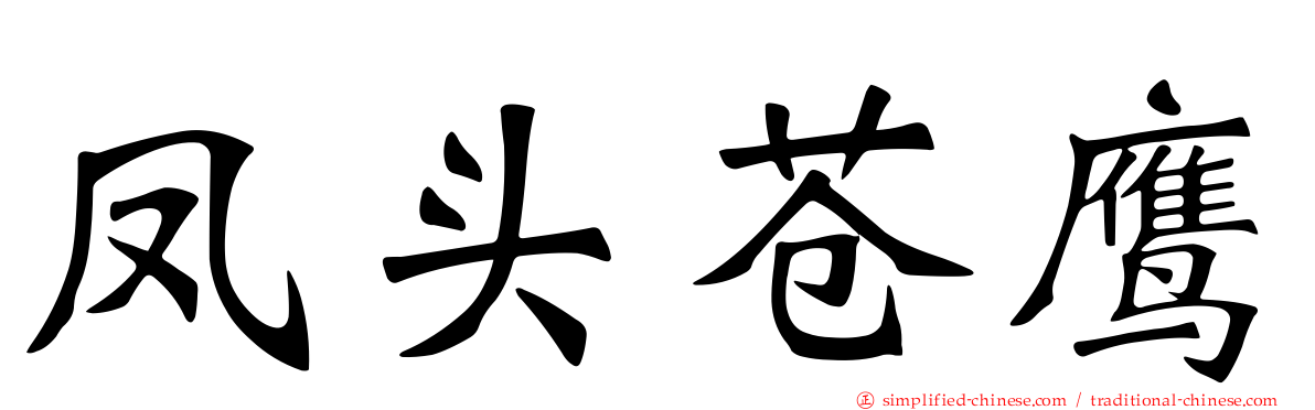 凤头苍鹰
