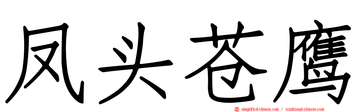 凤头苍鹰