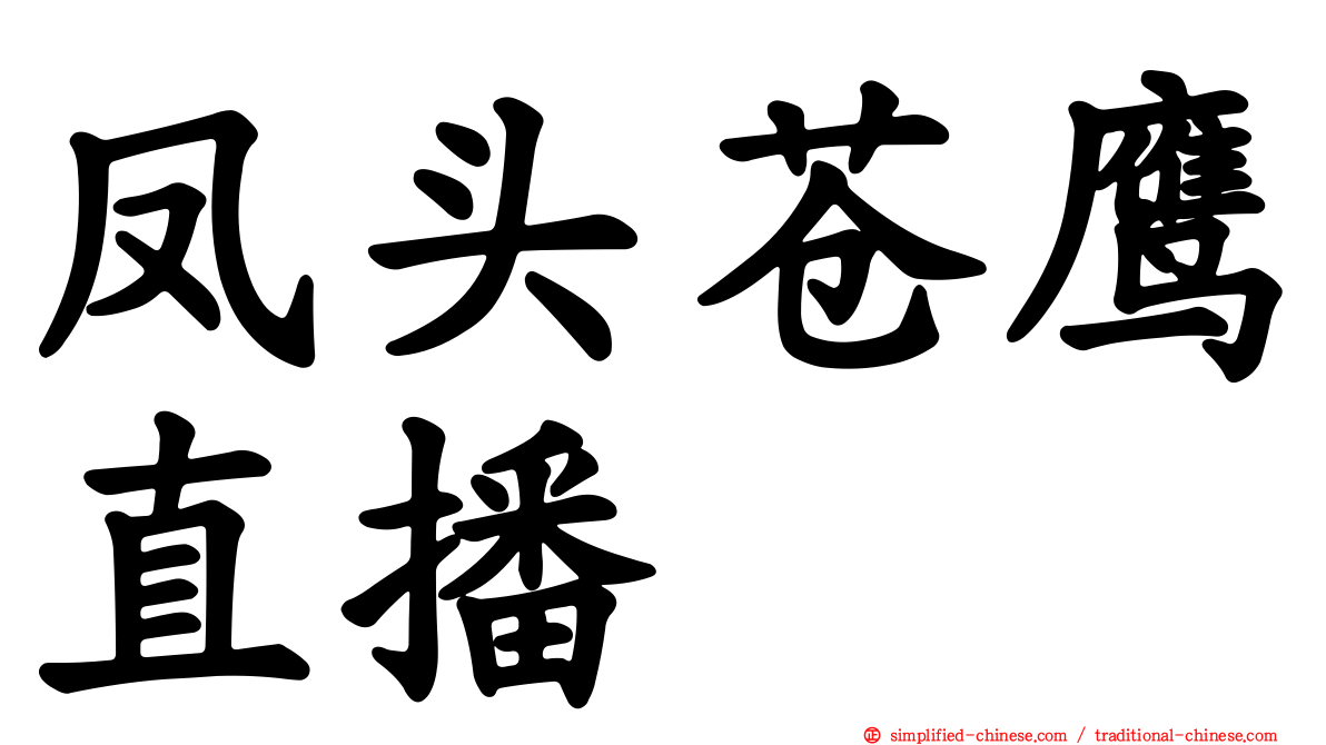 凤头苍鹰直播