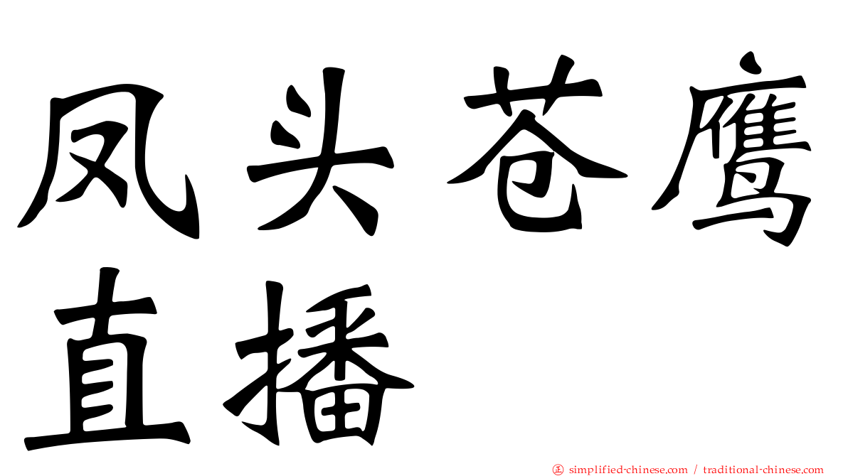 凤头苍鹰直播