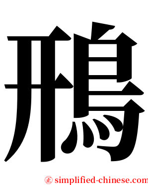 鳽 serif font