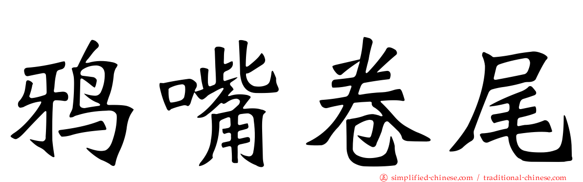 鸦嘴卷尾