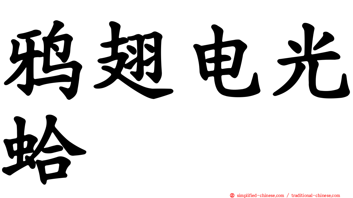 鸦翅电光蛤
