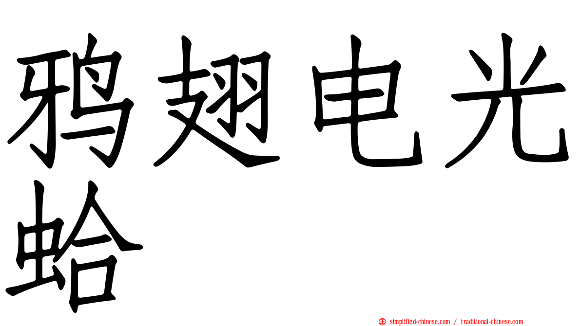 鸦翅电光蛤