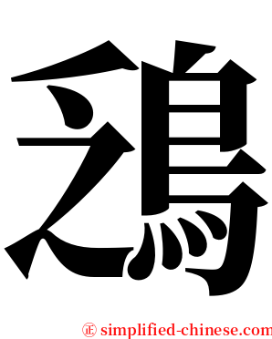 鴔 serif font