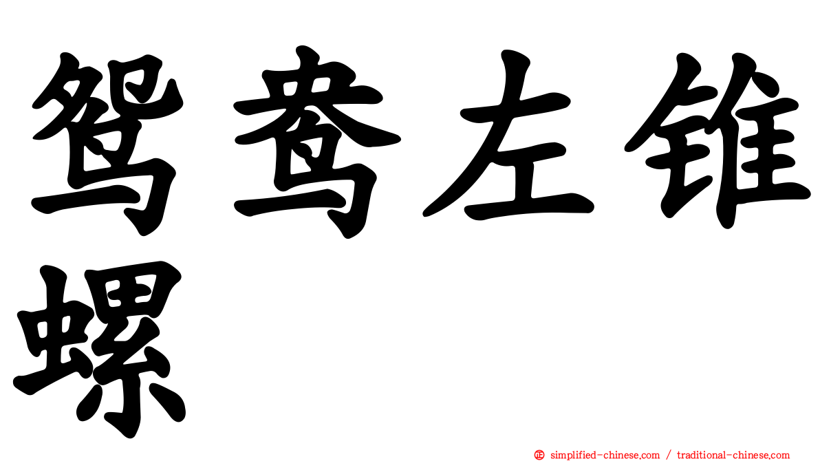鸳鸯左锥螺