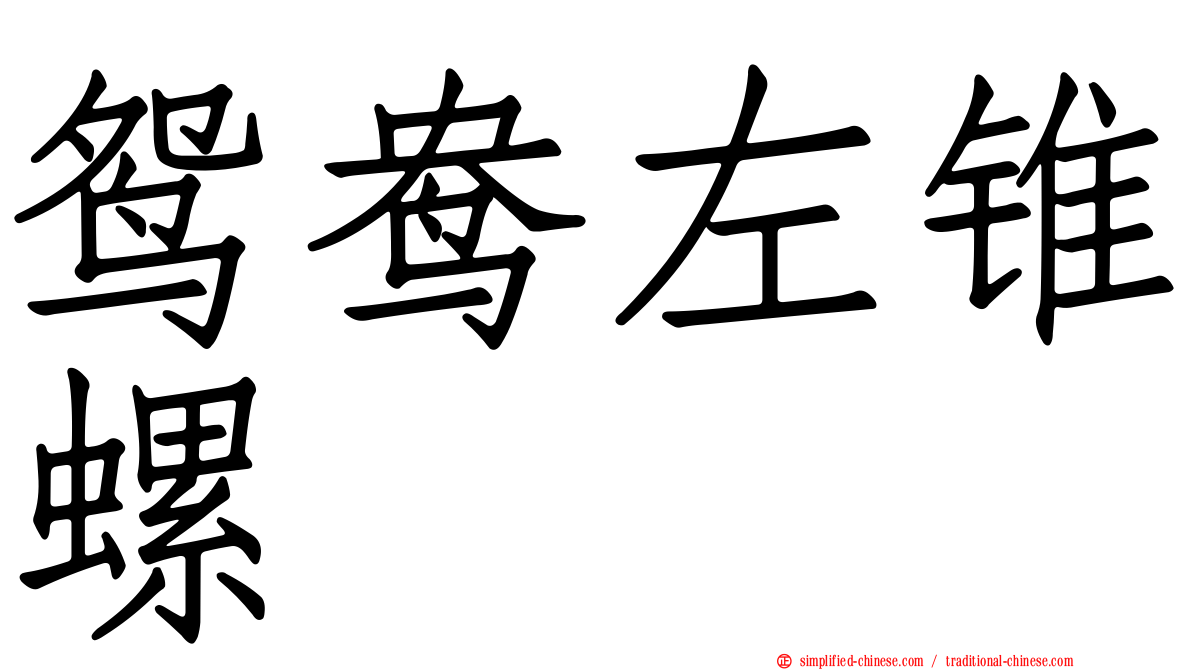 鸳鸯左锥螺