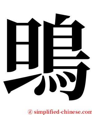 鴠 serif font