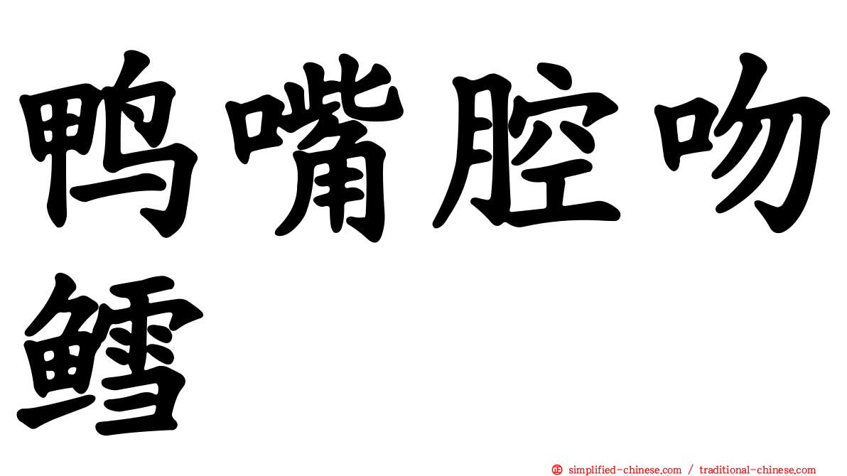 鸭嘴腔吻鳕