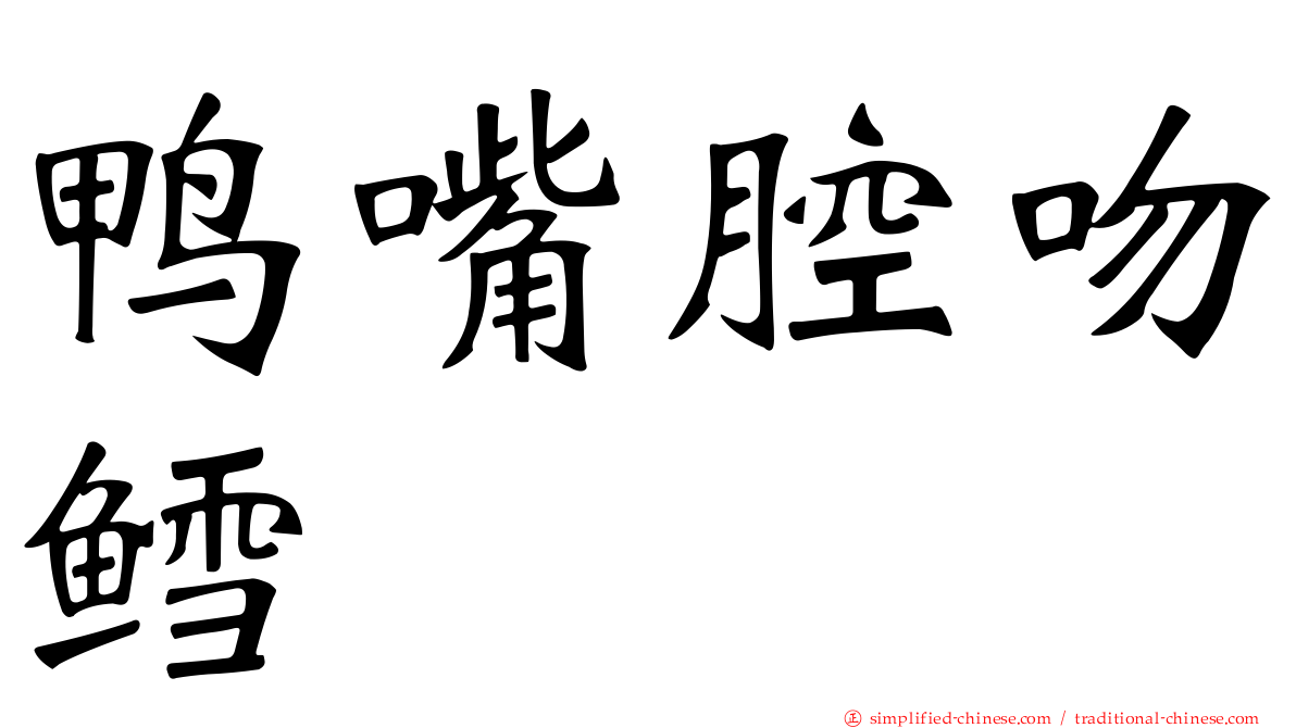 鸭嘴腔吻鳕