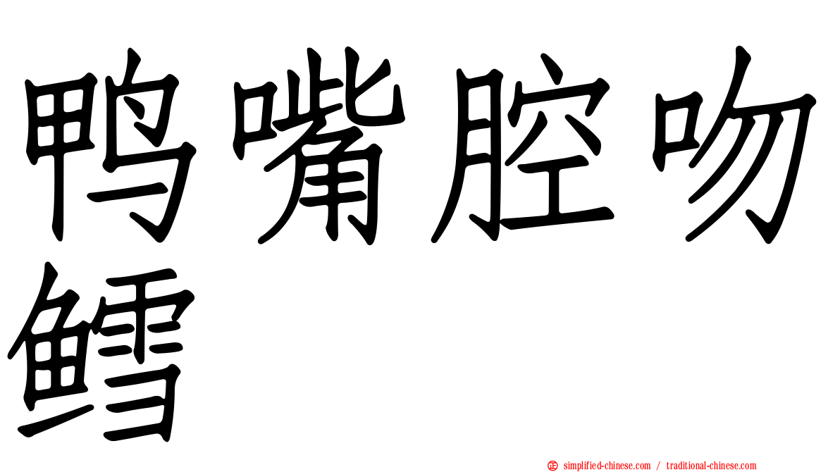 鸭嘴腔吻鳕