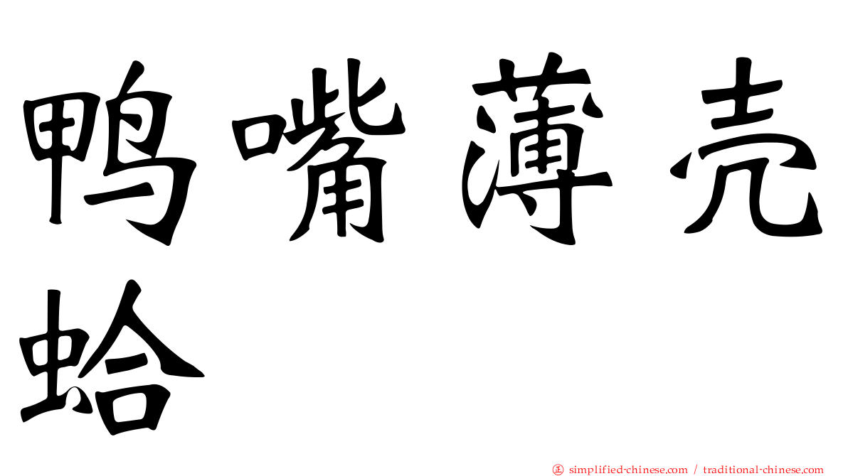 鸭嘴薄壳蛤