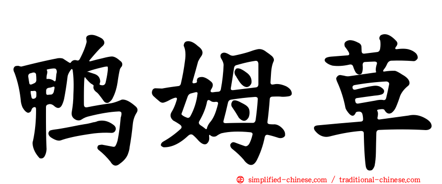 鸭姆草