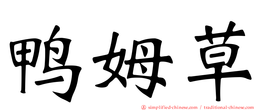 鸭姆草