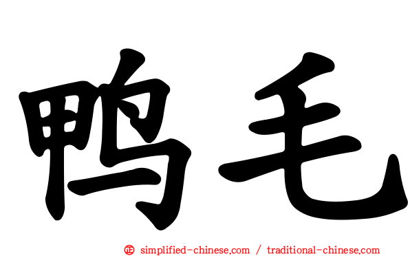 鸭毛
