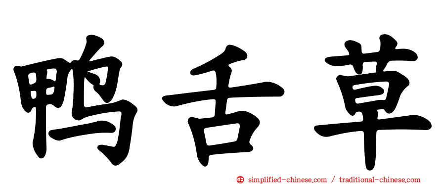 鸭舌草