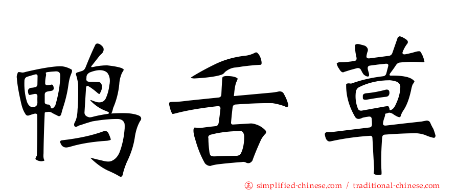 鸭舌草