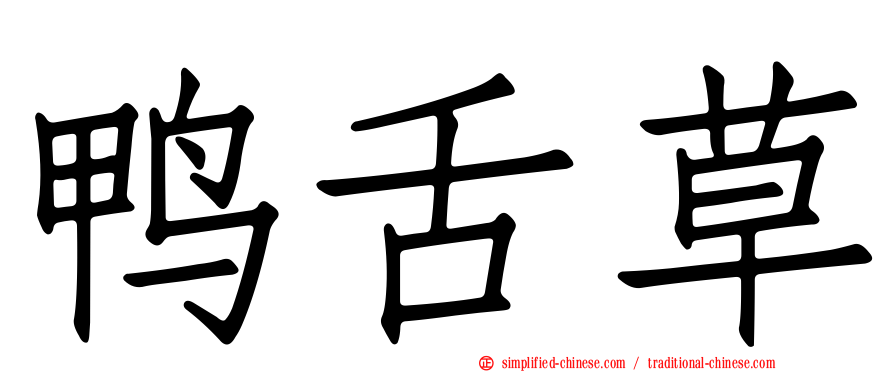 鸭舌草
