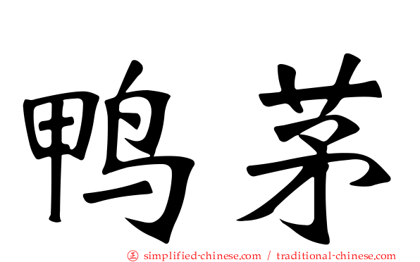 鸭茅