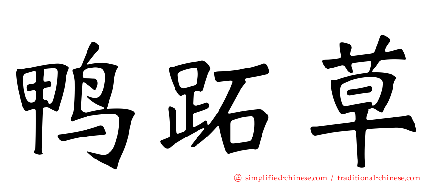 鸭跖草