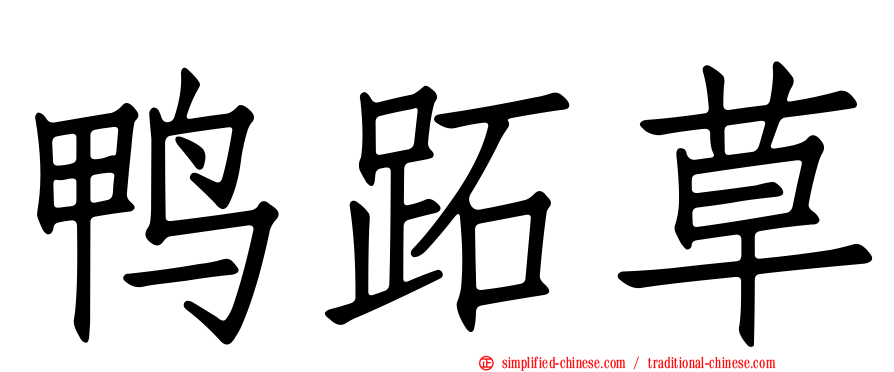 鸭跖草