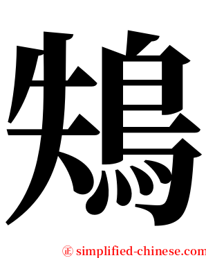 鴩 serif font