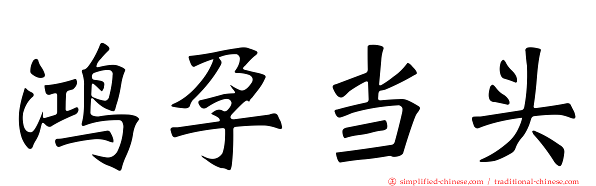 鸿孕当头