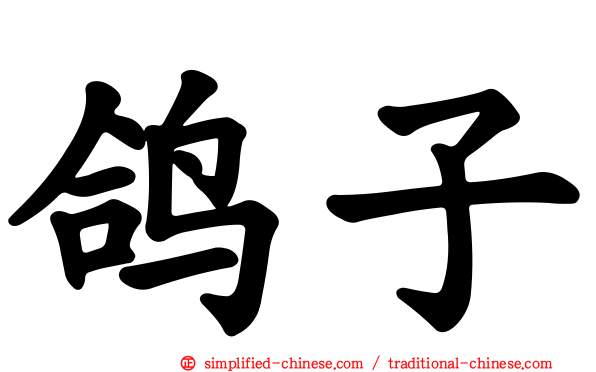 鸽子
