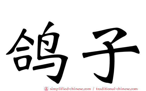 鸽子
