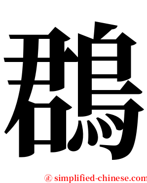 鵘 serif font