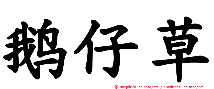 鹅仔草