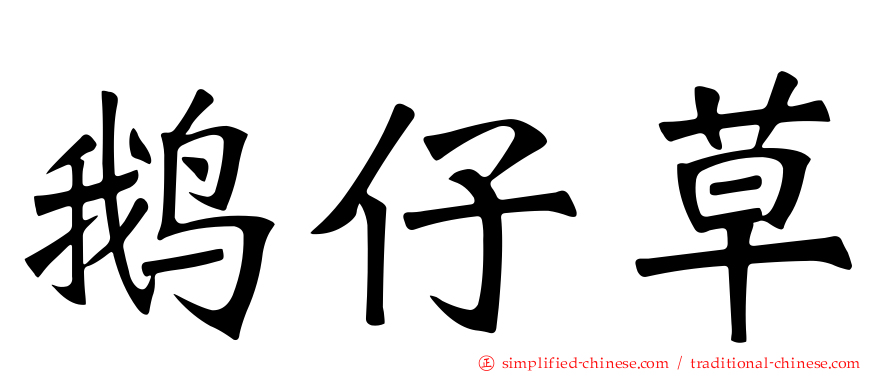 鹅仔草