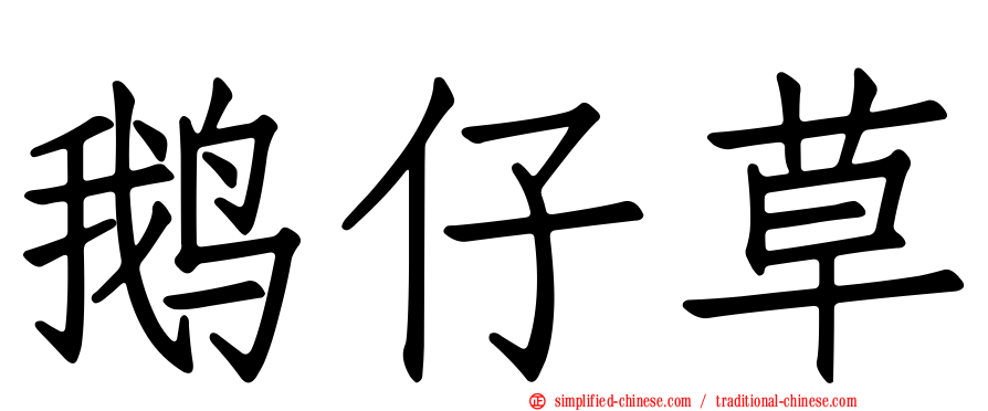 鹅仔草