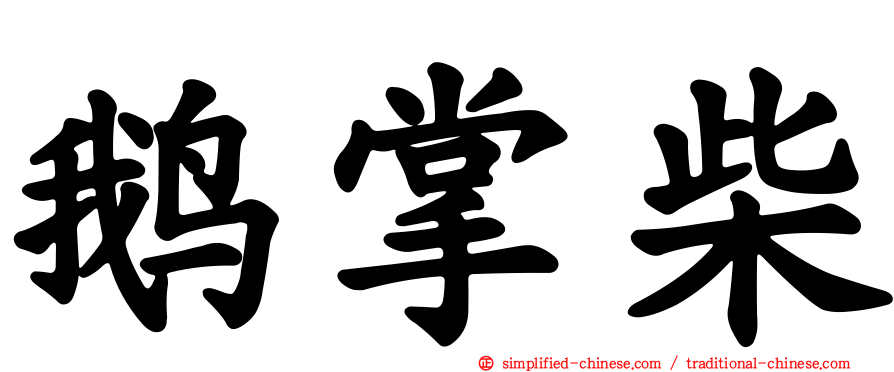 鹅掌柴
