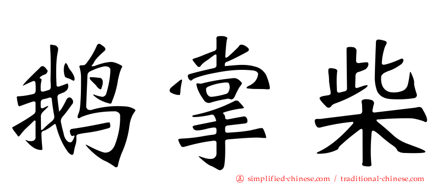 鹅掌柴
