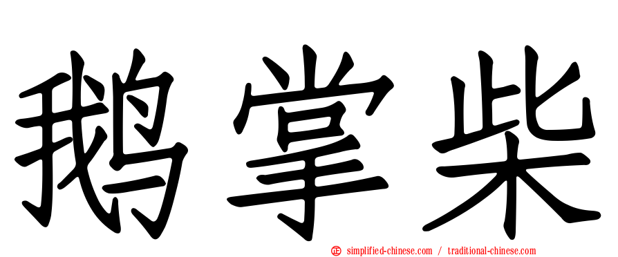 鹅掌柴