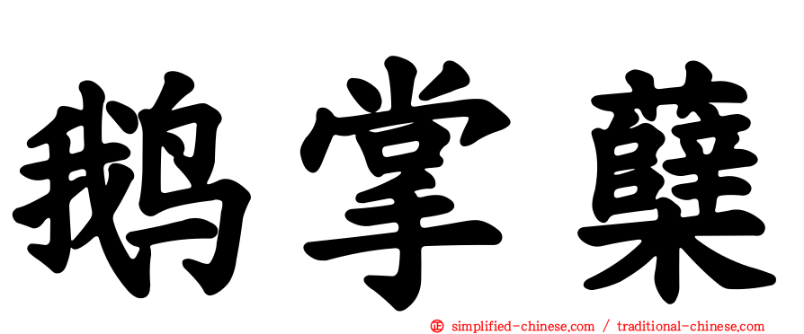 鹅掌蘗