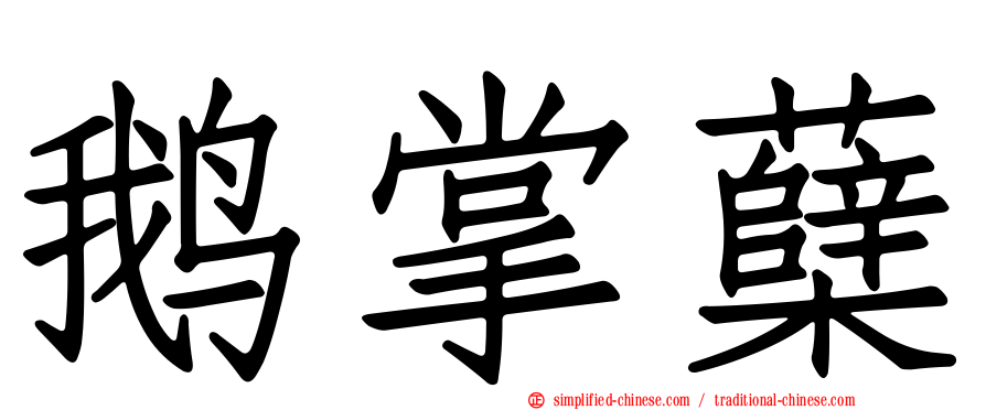 鹅掌蘗