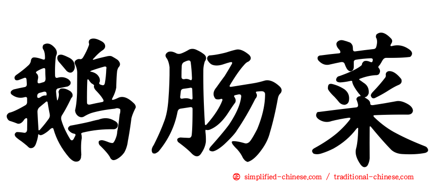 鹅肠菜
