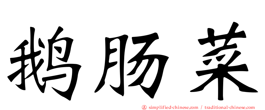 鹅肠菜