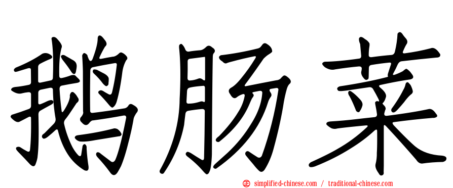 鹅肠菜
