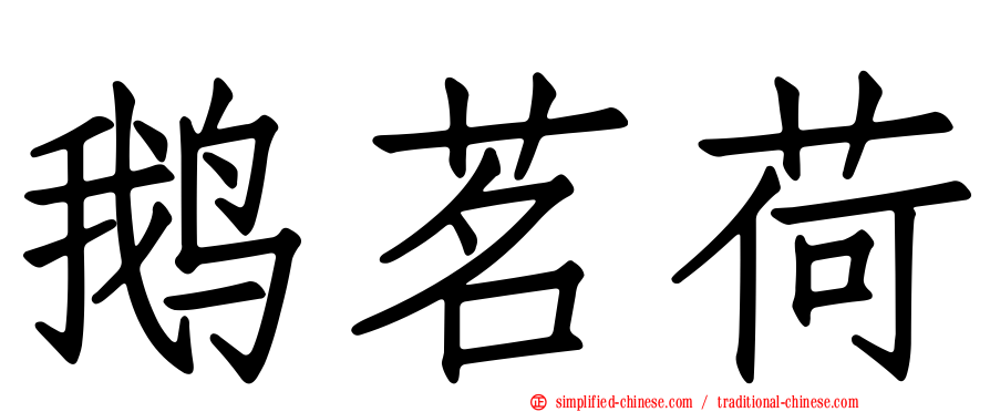 鹅茗荷