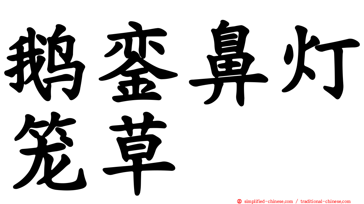 鹅銮鼻灯笼草