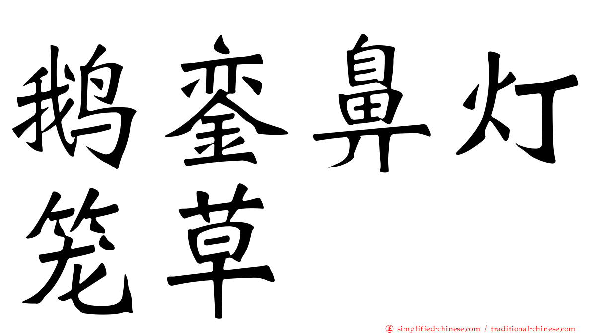 鹅銮鼻灯笼草