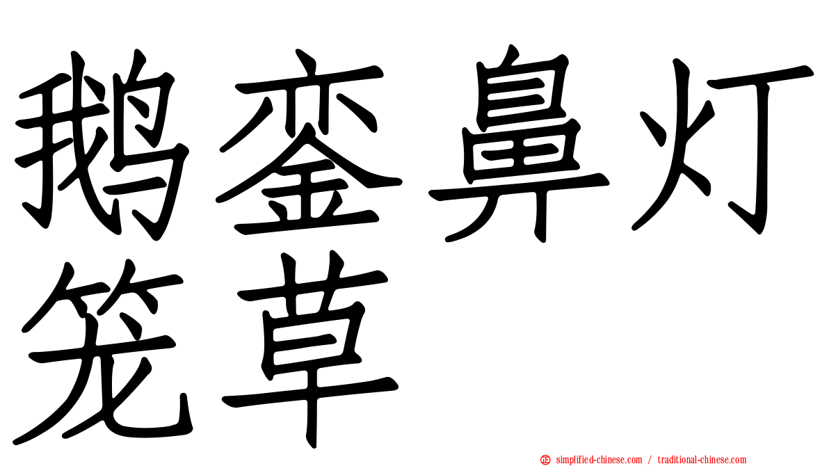 鹅銮鼻灯笼草