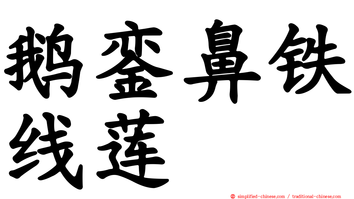 鹅銮鼻铁线莲