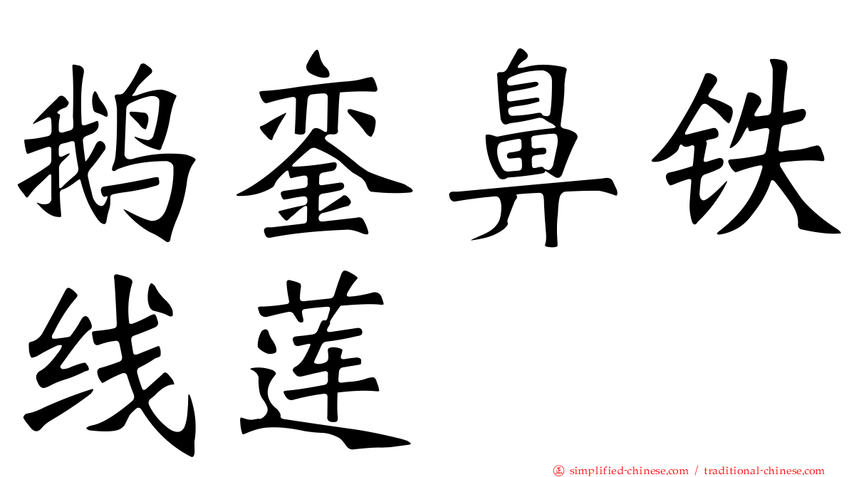 鹅銮鼻铁线莲