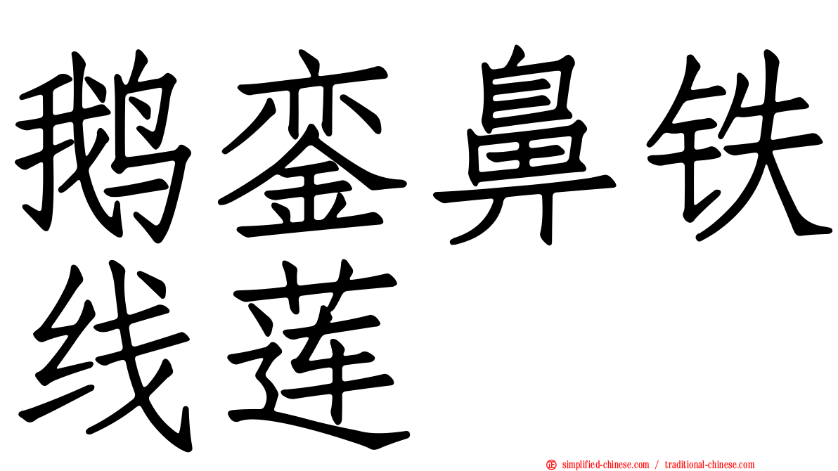 鹅銮鼻铁线莲