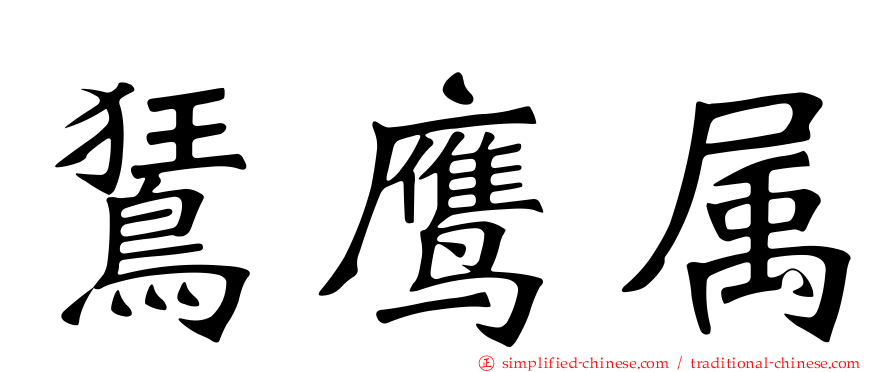 𫛭鹰属